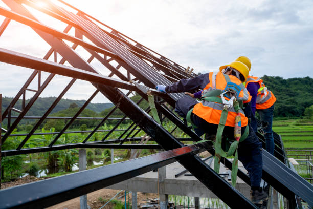 Best Sealant for Roof  in Dexter, OR