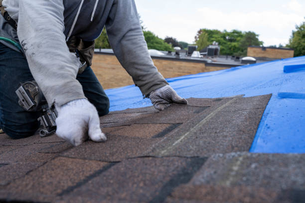Best Storm Damage Roof Repair  in Dexter, OR