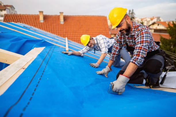 Best Roof Gutter Cleaning  in Dexter, OR